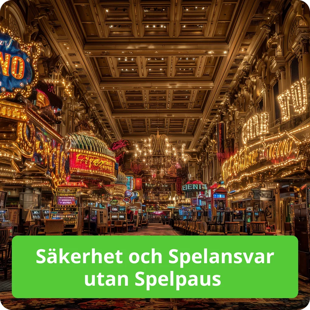Säkerhet och Spelansvar utan Spelpaus – Viktigt Säkerhet och Spelansvar utan Spelpaus